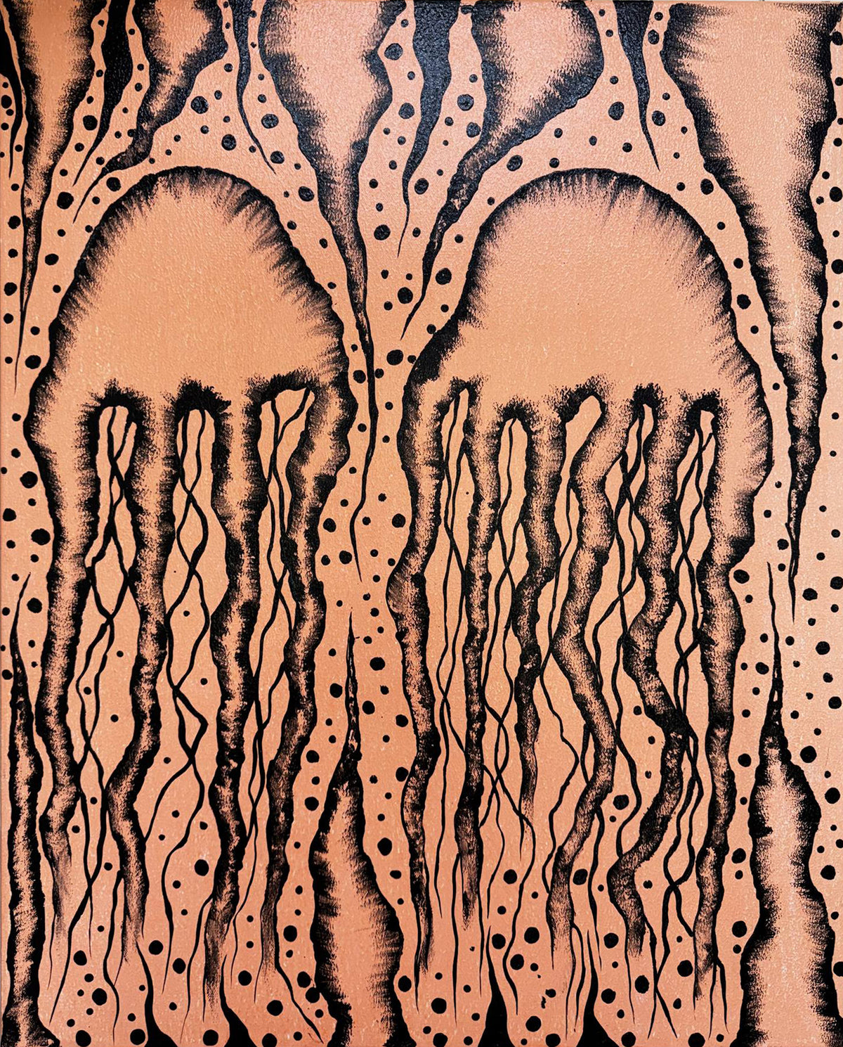 Journey of the Jellyfish