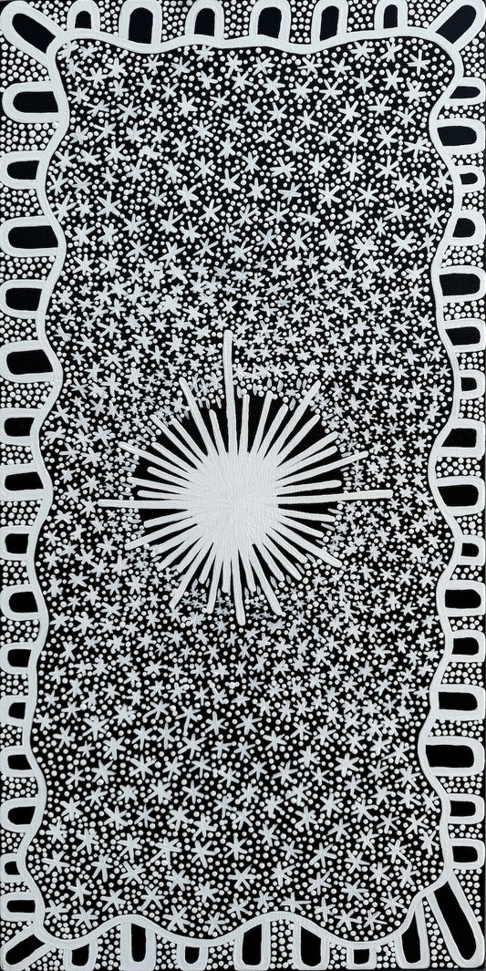 Constellations of the Dreamtime 